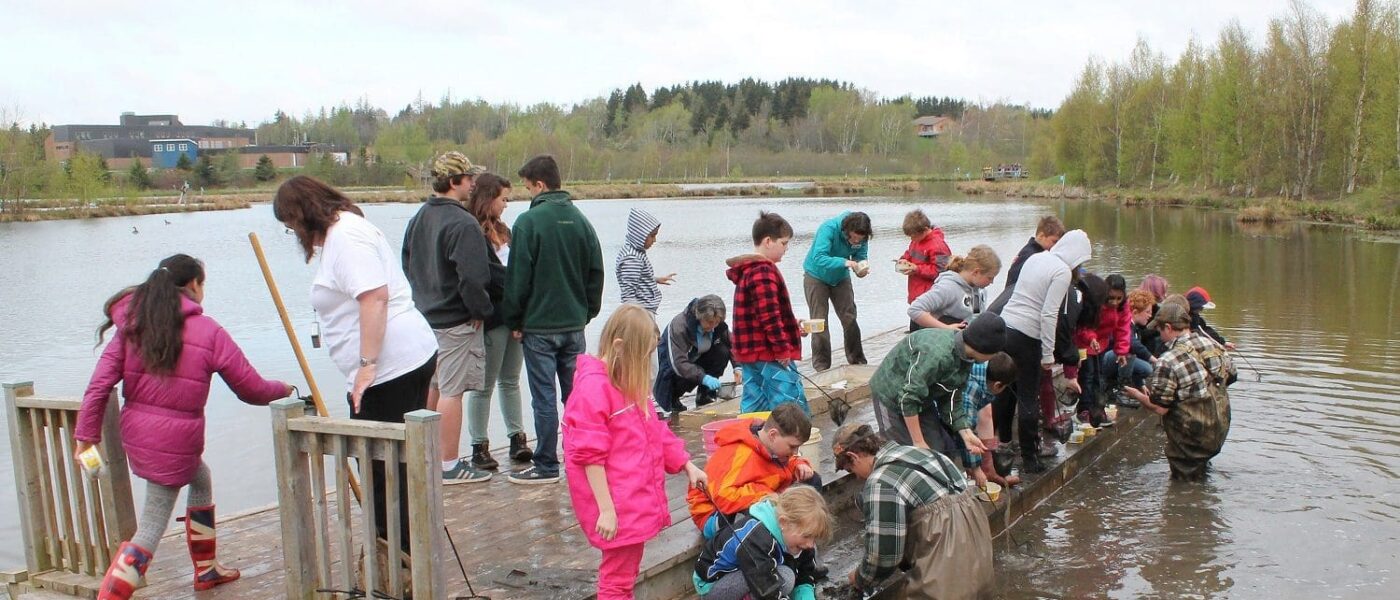Young students, critter-dipping at Tantramar Wetlands Centre, New Brunswick.