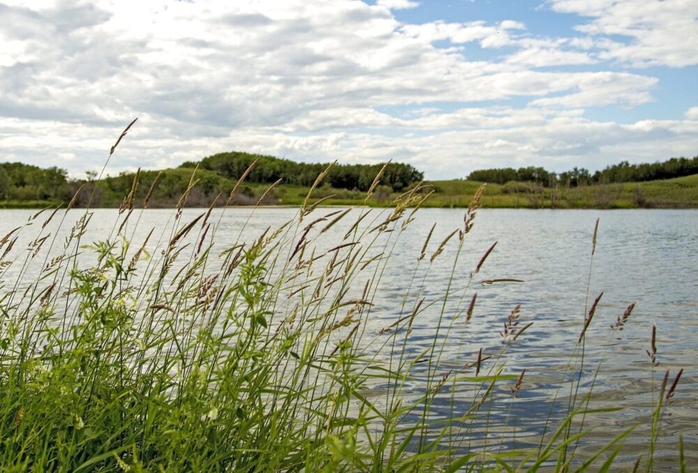 Conserved prairie wetland.