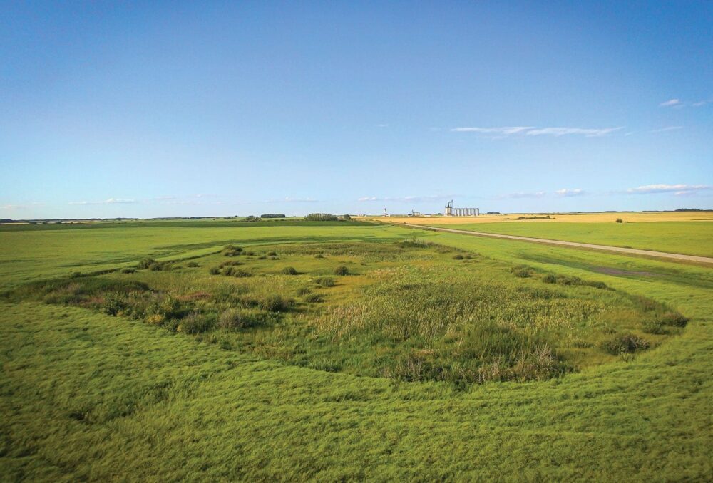 Revealing transformation: funding from The Coca-Cola Foundation helped restore this prairie wetland near Strathclair, Manitoba, to its full potential.