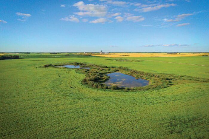 Cherry Project progress shows restored wetlands now thriving