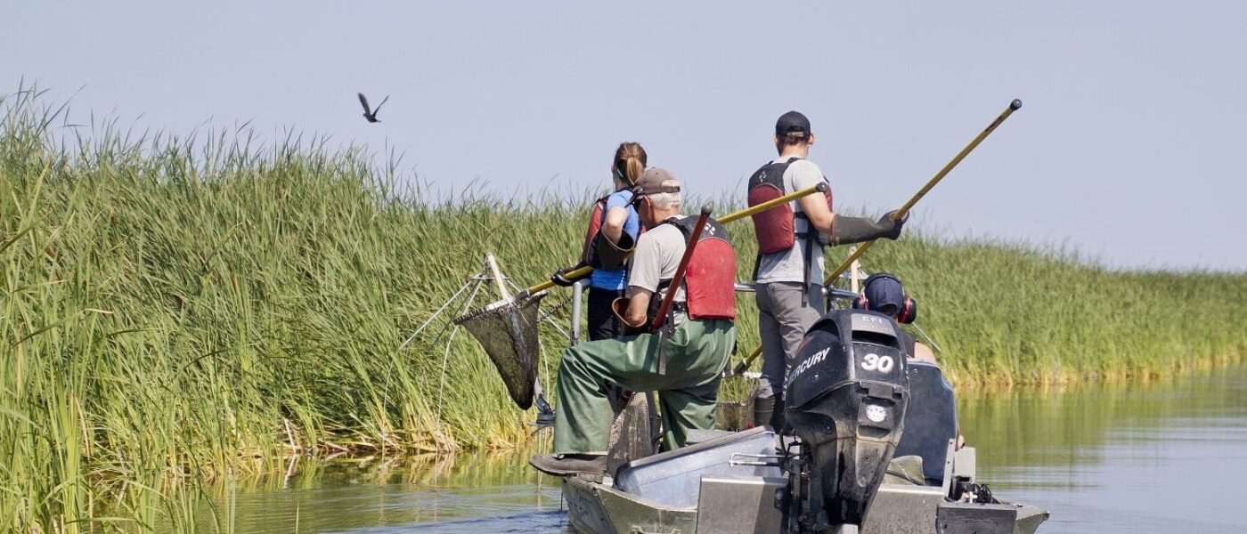 Science plays an important role in guiding DUC's habitat conservation decisions for now and the future.