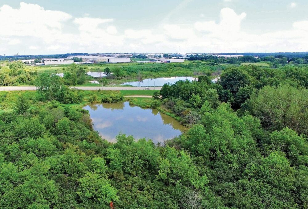 Brick Ponds, a partnered conservation project in Woodstock, Ont. (https://www.ducks.ca/stories/conservator/the-woodstock-urban-wetland-restoration-model/)