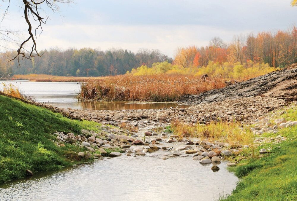 Through restoration work by Ducks Unlimited Canada and its partners, Cedar Creek has reverted to its original watercourse and its bed has been strewn with rocks and logs that shade fish and give turtles places to bask.