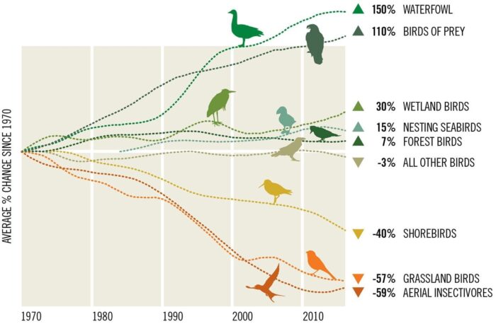 A testament to international conservation action, waterfowl populations are on the rebound. Saving birds in steep decline will require a similar combination of science-based habitat conservation investments, sustainable agricultural practices and effective climate action in Canada and abroad. Source: State of Canada's Birds, 2019