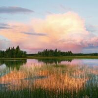 Visit Wetlands in Yukon & Northwest Territories