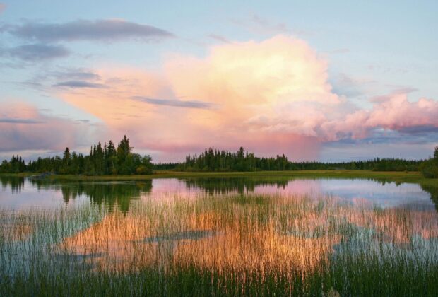 Visit Wetlands in Yukon & Northwest Territories