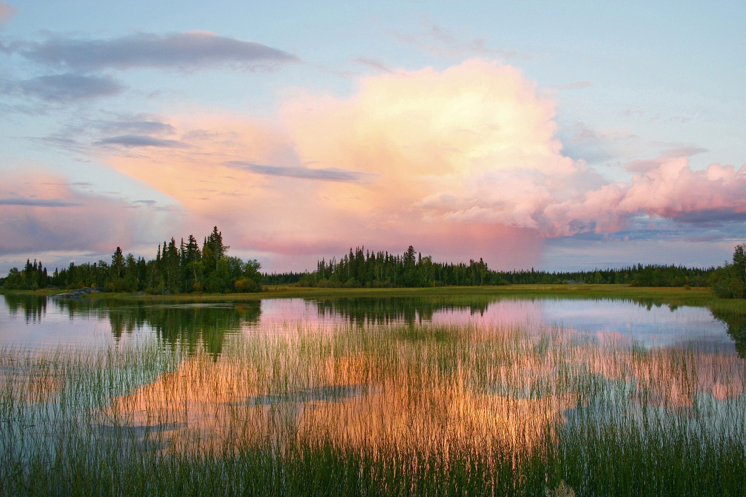 Boreal wetland scenic, Northwest Territories.