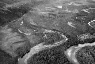 Canada’s boreal forest has many regions that share a common truth