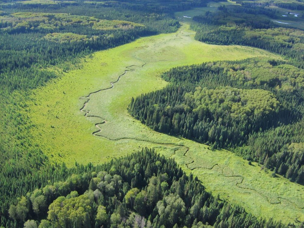 As part of the 6.2 million acres of Manitoba’s boreal forest falling under the new conservation agreement between LP and DUC, highly productive wetland complexes like these will be conserved for the many benefits they provide.  Conserving wetlands in this area will ensure the landscape continues to be productive by filtering water, acting as carbon storage to mitigate climate change and serve as crucial habitat for waterfowl. 