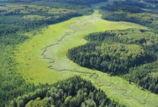 Ducks Unlimited Canada and Louisiana-Pacific Building Solutions sign landmark conservation agreement to support 6.2 million acres in Manitoba’s boreal forest