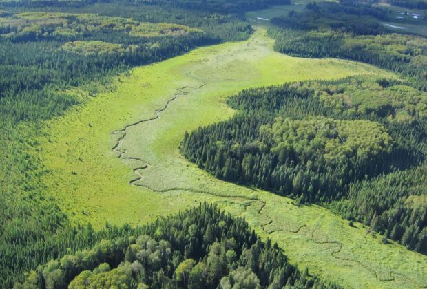 Ducks Unlimited Canada and Louisiana-Pacific Building Solutions sign landmark conservation agreement to support 6.2 million acres in Manitoba’s boreal forest