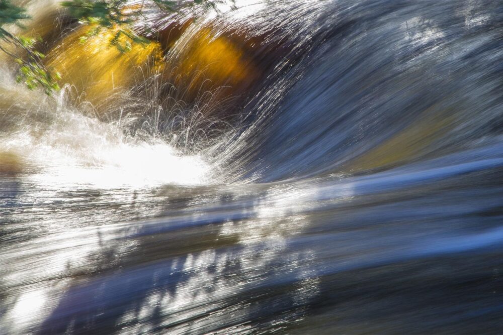 When the Big Storms Hit, Wetlands Reduce the Cost of Flood Damages