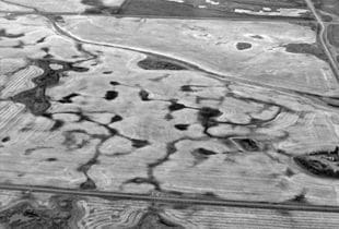 Manitoba’s pothole wetlands teem with life, but they’re disappearing