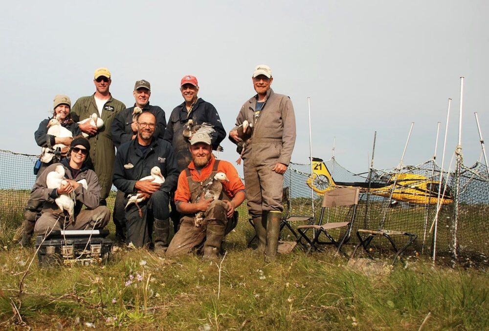 The 2019 Akimiski Island banding crew 