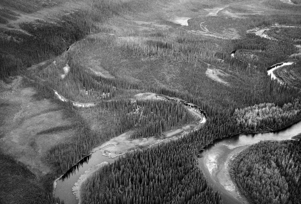 Canada’s boreal forest spans 1.38 billion acres and covers 58% of the country’s landmass, holding 85% of Canada’s remaining wetlands. 