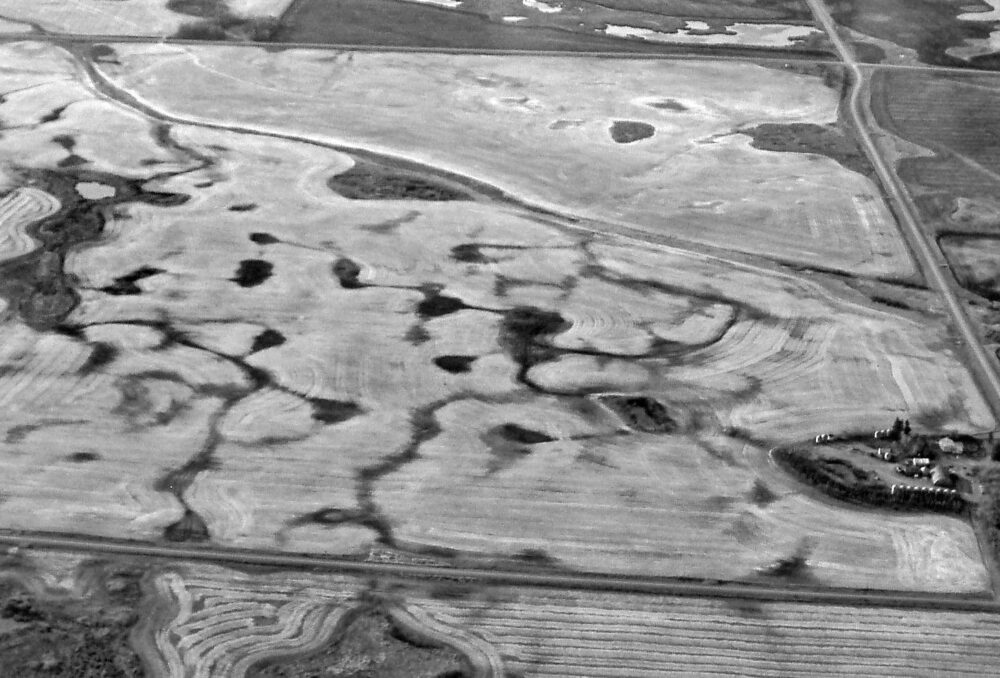 Manitoba's Prairie Pothole Region of wetlands are still being drained at an alarming rate, despite the crucial role they play supporting a rich diversity of life.