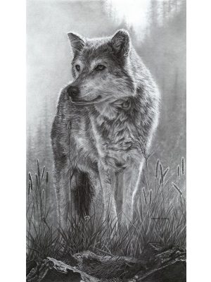 2020 Portfolio Artist