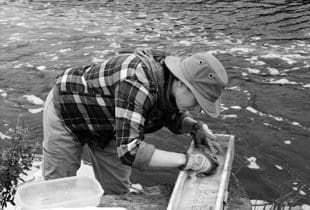 Biodiversity in Missaquash Marsh
