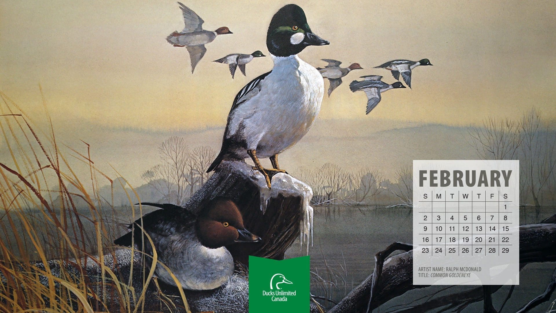 2020 Desktop Calendar Downloads Ducks Unlimited Canada