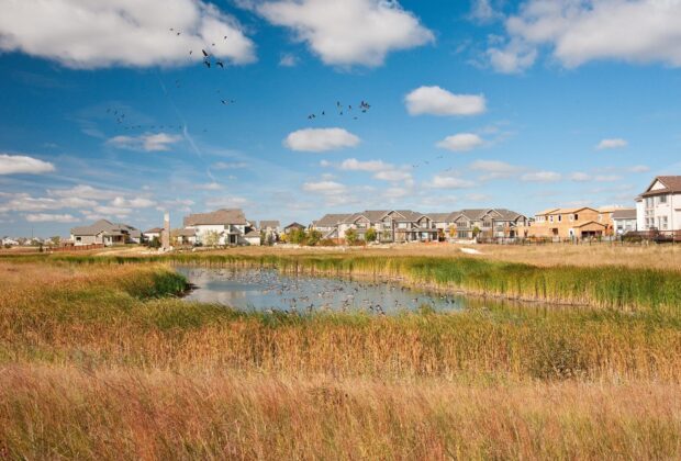 New Report on Leveraging Water Management with Wetlands for a Climate-Ready Ontario