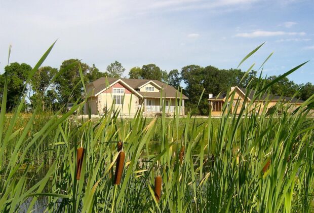 Natural infrastructure for a climate-ready Ontario