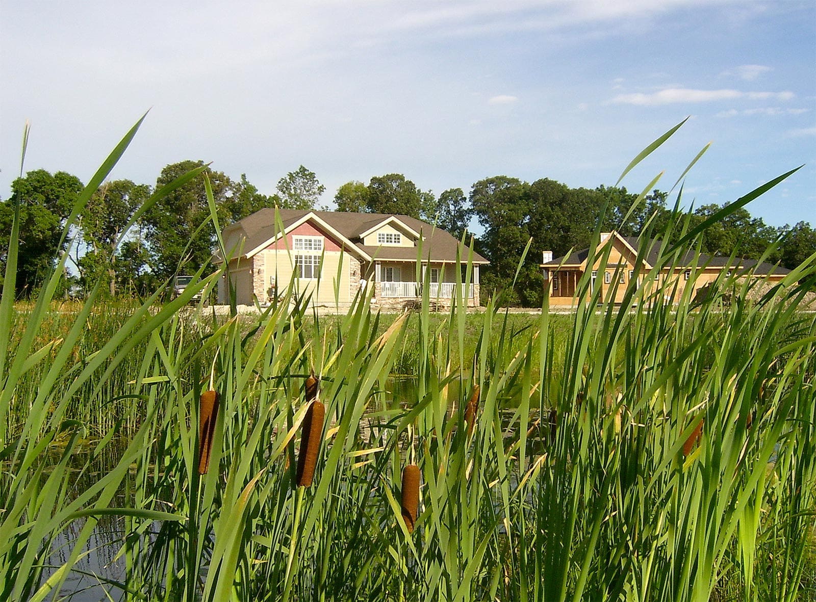 Houses and wetland