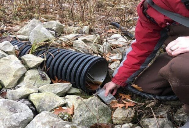 The power of small wetlands for clean water