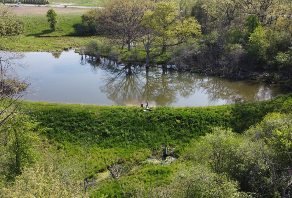 “Edge-of-field” wetland in southwestern Ontario