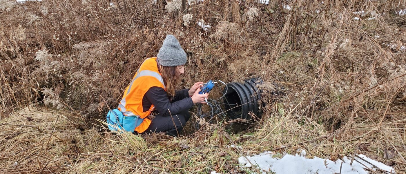 The power of small wetlands for clean water — Ducks Unlimited Canada