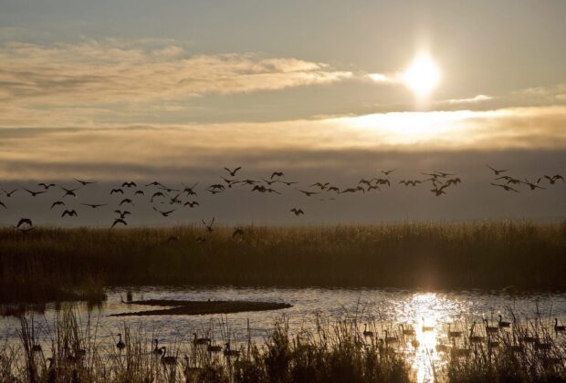 Nature, in a time of change