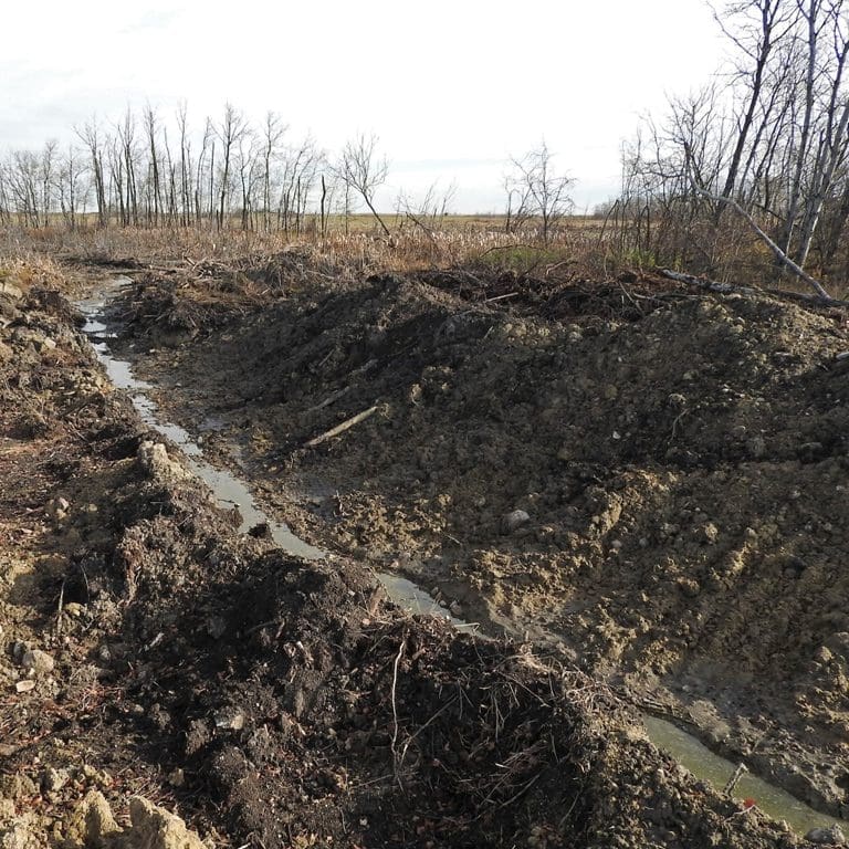 Drained marsh