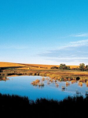 Saskatchewan