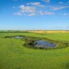 Manitoba Prairie Wetland Classification Guide