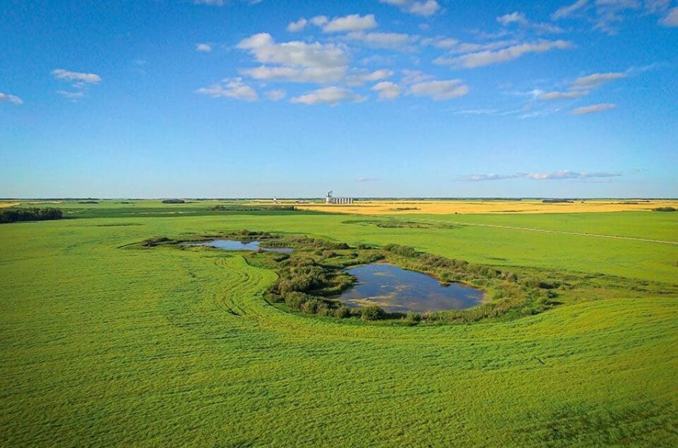 Small wetland restoration in progress in western Manitoba