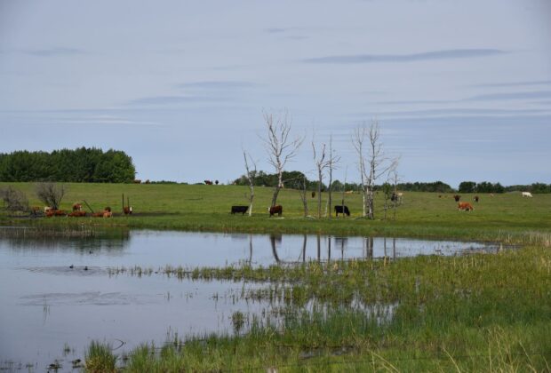 Conservation programs in Alberta needed now more than ever