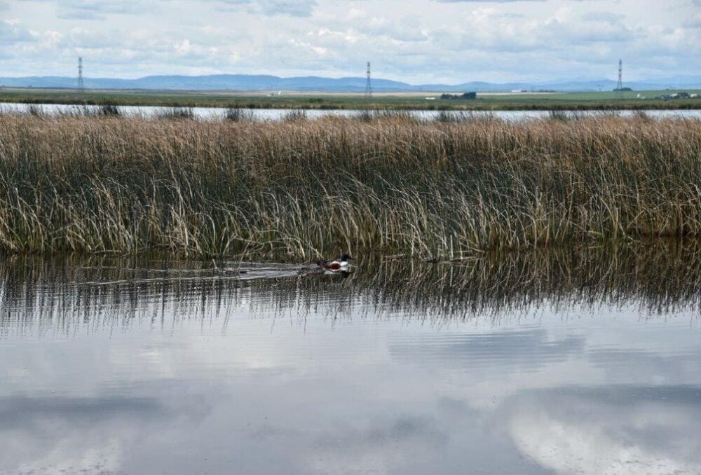 Clifford E. Lee and Frank Lake conservation areas are scheduled to re-open soon.