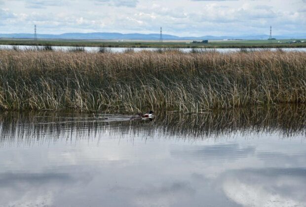 Plans to re-open Frank Lake, Clifford E. Lee to public underway