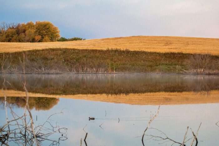 “I’m a prairie girl through and through,” says Leigh. 