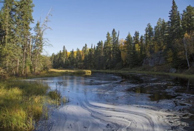 Conserving 54 million acres of Manitoba’s boreal wetlands