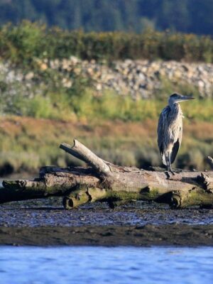 British Columbia