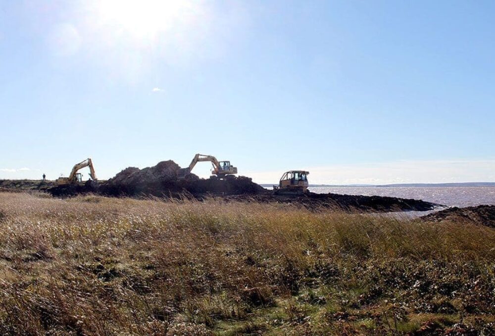 Heavy equipment breach dyke for salt marsh restoration