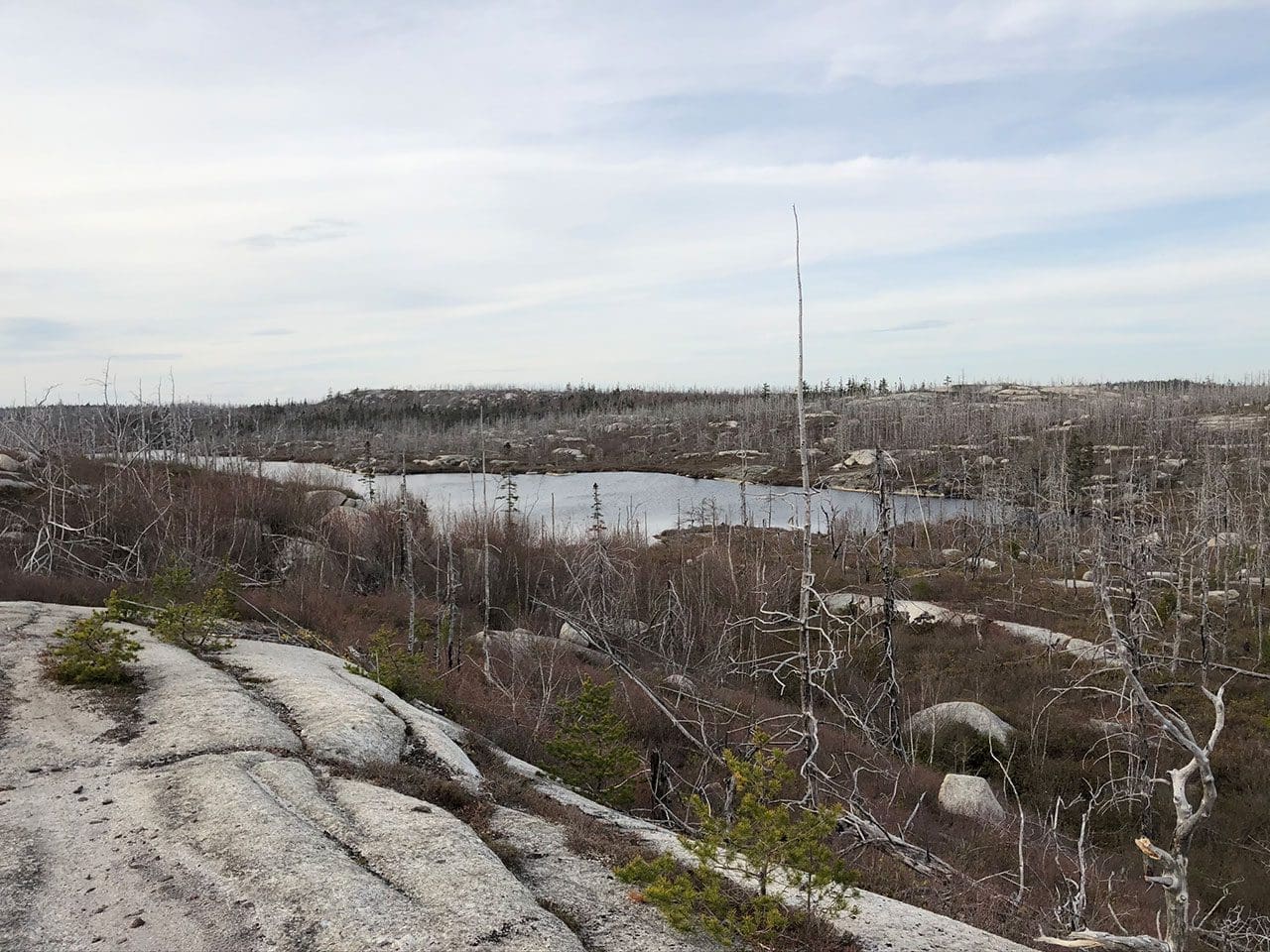 Flat Lake, Nova Scotia Spring 2020