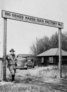 Dès le début, Canards Illimités savait que les Prairies canadiennes étaient essentielles pour la vigueur des populations de canards. C’est sur le territoire canadien que les canards s’accouplent, donnent naissance à leurs couvées, élèvent leur progéniture et se préparent à migrer dans le Sud à l’automne. Puisque tout le continent avait besoin de nombreuses populations de canards, les Prairies canadiennes devaient, pour leur part, compter sur des milieux humides, des terres herbeuses, des terres hautes et de l’eau pour faire vivre tous ces canards. Ces premières zones de conservation s’appelaient, les vrais sauvaginiers les appelaient les « usines à canards ».