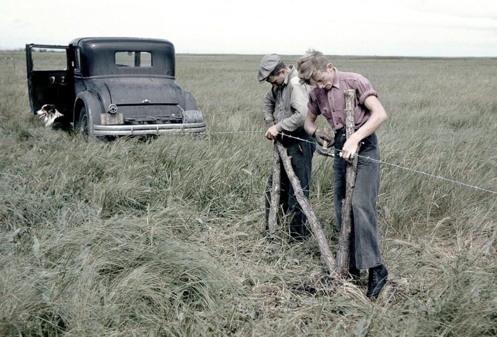 Workers erect fencing in the early 1940s at Big Grass Marsh, Manitoba: DUC’s first-ever wetland conservation project. 