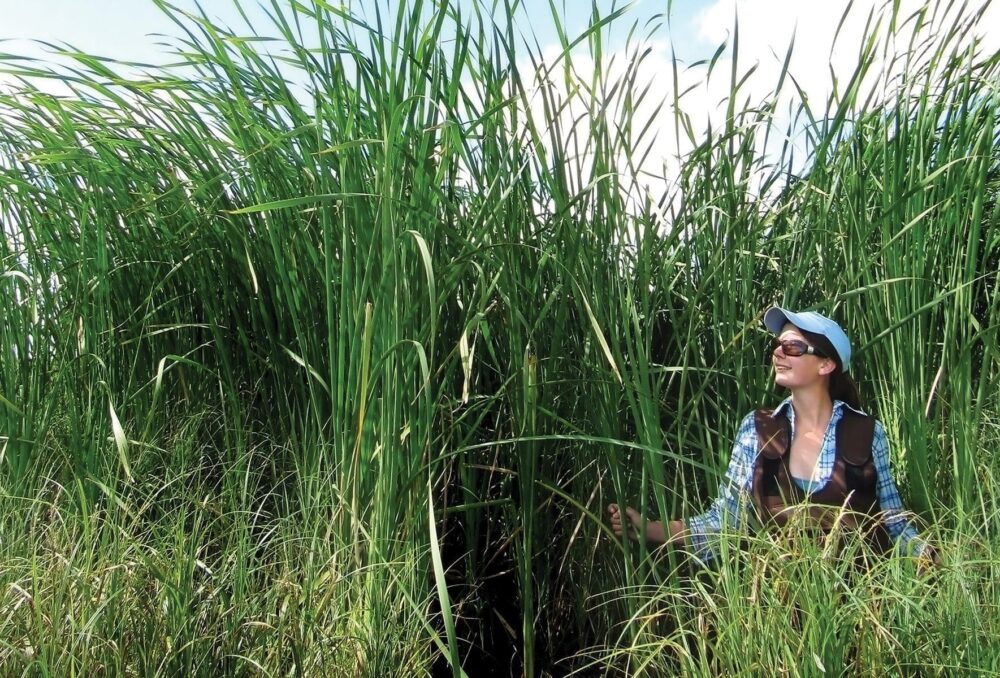 Lauren Bortolotti during her PhD fieldwork.