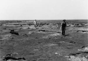 Le marais Big Grass a été le premier site des projets de Canards Illimités Canada, en 1938.