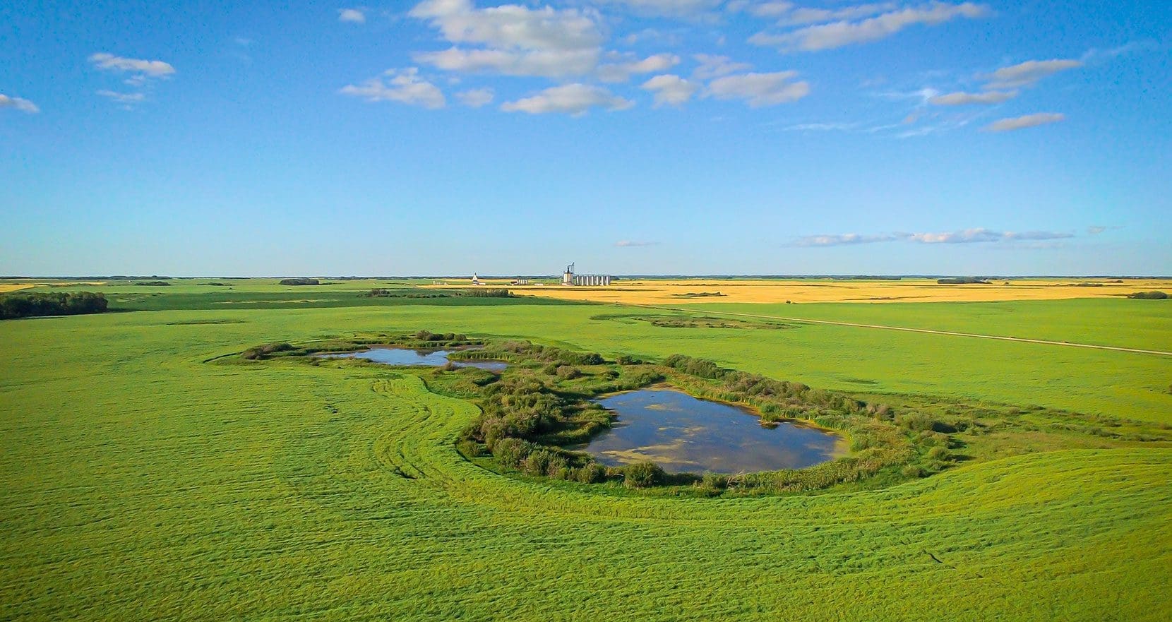 Restored Manitoba prairie wetland