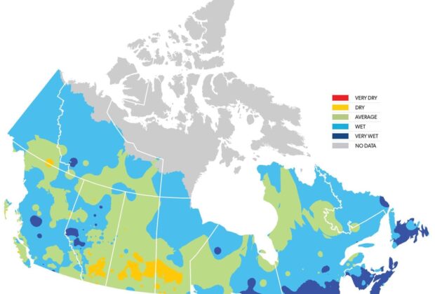 Spring Habitat Report 2020