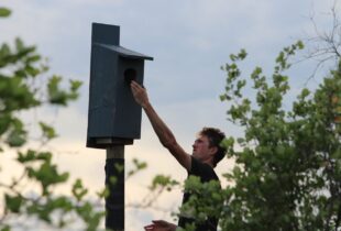 Oakbank teen earns Wetland Hero distinction with nest box project