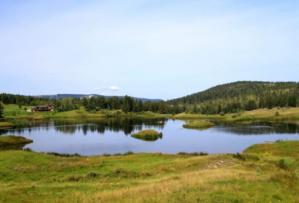 Just one of the 26 wetlands and water segments at the 148 Mile Marshes project near Williams Lake. The project is seeing major upgrades in the summer and fall of 2020.